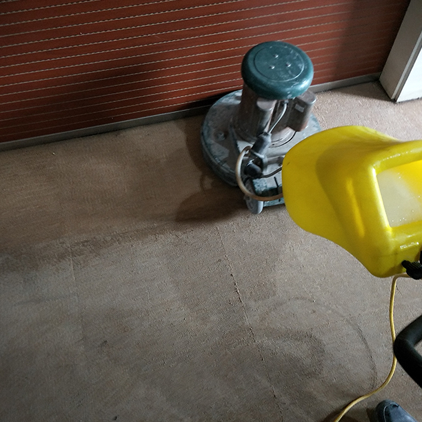 地毯清洗 地毯清洗